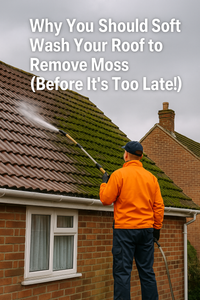 Why You Should Soft Wash Your Roof to Remove Moss (Before It’s Too Late!)