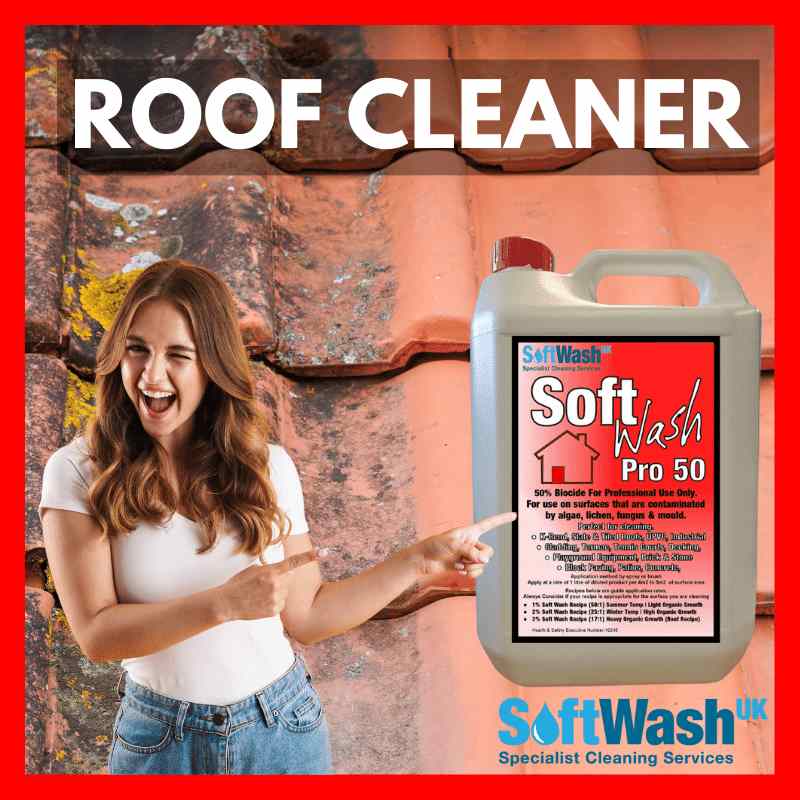 The Ultimate Guide to Cleaning Your Roof in the UK