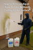 How to Remove Algae from Render Without Damaging the Surface
