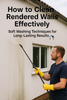 How to Clean Rendered Walls Effectively: Soft Washing Techniques for Long-Lasting Results 🧼🏡