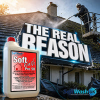 Roof Moss Keeps Coming Back? Causes & Fixes