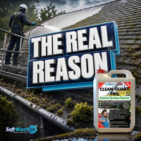 Moss Coming Back After Roof Cleaning? Here's Why