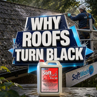 Black Spot Lichen on Roof Tiles: Causes & Treatment