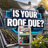 How Often Should a Roof Be Cleaned? UK Guide
