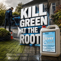 How to Remove Algae From Driveways Safely