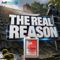 Moss Coming Back After Roof Cleaning? How to Stop It
