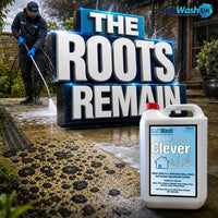 Why Patio Black Spots Return & How to Stop Them