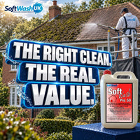 Is Roof Cleaning Worth It? Costs, Benefits & Risks