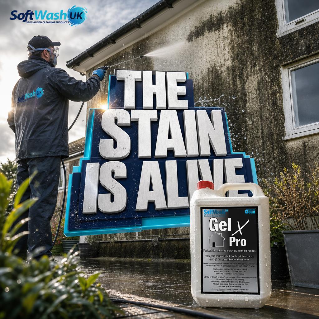 Black Staining on Render: Causes and Safe Cleaning