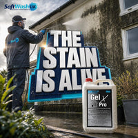 Black Staining on Render: Causes and Safe Cleaning